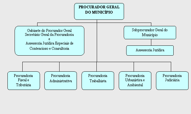 Organograma